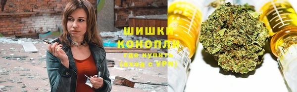 шишки Волоколамск